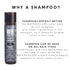 Watercolors Intense Metallic Color Depositing Shampoo - 8.5 oz, Sulfate & Paraben Free, Maintains Haircolor