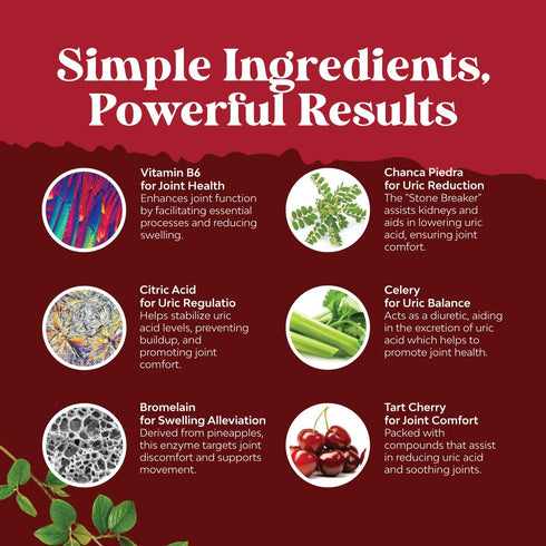 Vegan Uric Acid Cleanse and Detox - Daily Kidney Cleanse and Uric Acid Support for Adults - Tart Cherry Extract Capsules