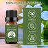 Sedbuwza Gardenia Essential Oil, 100% Pure Organic Gardenia Aromatherapy Gift Oil for Diffuser, Humidifier, Soap, Candle, Perfume