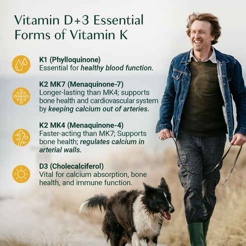 ALGAECAL 4-in-1 Vitamin D3 K2 Complete - 60 Softgels for Enhanced Immune Support & Bone Health with D3, K2, A, & E