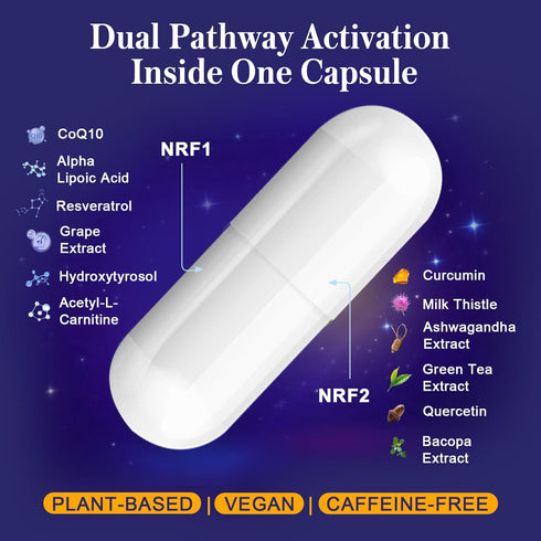 Xontravix NRF1 NRF2 1500mg CoQ10, 60 (1 & Supplement | Dual Activator with Curcumin, Trans Resveratrol & Ashwagandha |