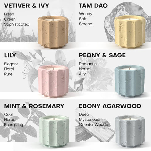 JueOne Set 6 Pack Set, Scented Candles for Home, Natural Soy Wax Candle Gift Non-Toxic Cement Jar Candles, Luxury