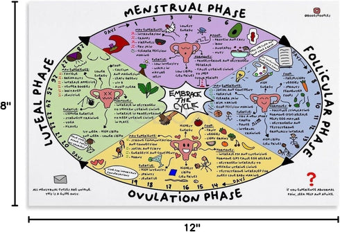 MISKYN Menstrual Cycle Poster Watercolor Nutrition Menstrual Cycle Diagram Female Menstrual Cycle Infograph Canvas