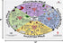 MISKYN Menstrual Cycle Poster Watercolor Nutrition Menstrual Cycle Diagram Female Menstrual Cycle Infograph Canvas
