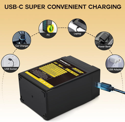 TEMIBATT 6V LiFePO4 1 Pack, 7AH 2000+ Battery USB Rechargeable Lithium Iron Phosphate Battery, Cycles for Ride On Toys