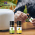 KOURUILIFE Set 20 10 ml, 100% Essential Oils for Diffuser, Aromatherapy Oils * Organic Fragrance Oil Kit