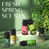 Spring Essential Oils Set, ARVIDSSON Natural Fragrance Oil for Diffuser, Candle Making - After Rain, Ocean Breeze,