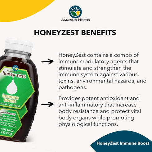 Amazing Herbs Raw Natural Honey, 16 Fl Oz - Herbal Honey with Echinacea, Elderberry, Garlic, and Black Seed Oil