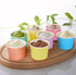 Aodaer 60 Pack 8 oz Paper Ice Cream Cups, Disposable Dessert Bowls for Hot or Cold Food, 6 Colors
