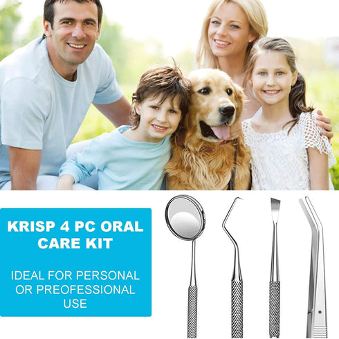 Dental Tools Set - 4 Pc Professional Stainless Steel Dental Pick, Tartar Remover, Oral Hygiene Care Kit
