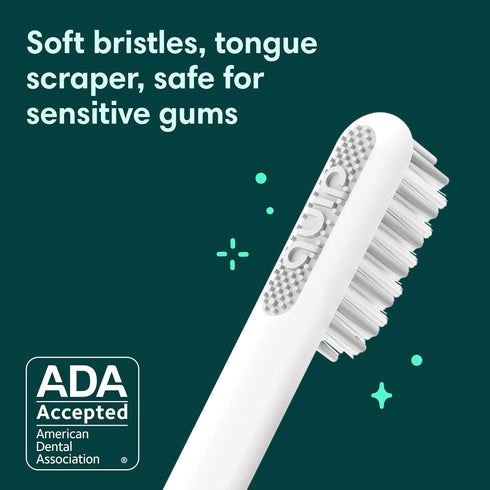 Quip Sonic Toothbrush for Adults, Timed Electric Toothbrush with Cover, Slate