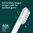 Quip Sonic Toothbrush for Adults, Timed Electric Toothbrush with Cover, Slate