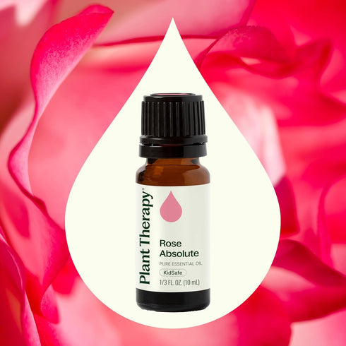 Plant Therapy Rose Absolute Essential Oil, 100% Pure, 10 mL (1/3 oz), Natural Aromatherapy