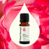 Plant Therapy Rose Absolute Essential Oil, 100% Pure, 10 mL (1/3 oz), Natural Aromatherapy