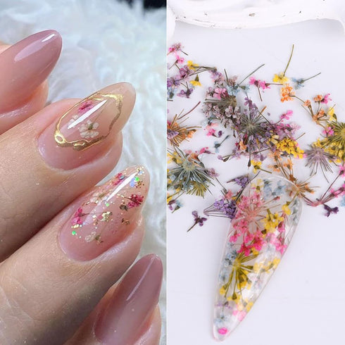 3D Dried Flower Nail Art Stickers, Mixed Dried Flowers for Resin DIY Crafts and Manicure Decorations (Style3)