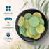 Rosca RO Eucalyptus & Mint Shower Steamers, Aromatherapy for Stress Relief, Christmas Gifts for Self Care