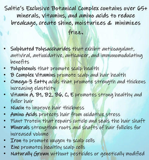 Saltie Sea Kelp Daily Hair Conditioner 8.5 fl. Oz | Nourish with Sea Weed, Kelp & Algae | Lightweight, Detangle, Repair