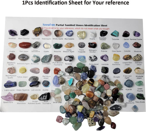 SeeuFun 800Pcs+ (3lb) Set,30Kinds+ Gemstones and Crystals Bulk Rocks and Minerals Science Kit,Rocks Collections