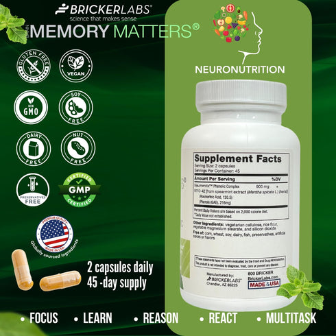 Brain Aid Memory Matters Cognitive Support Supplement, Natural Nootropic with Neumentix Spearmint Extract, 90 Ct