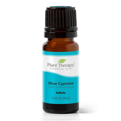 Plant Therapy Blue Cypress Essential Oil (10 mL, 100% Pure, Undiluted, Therapeutic Grade)