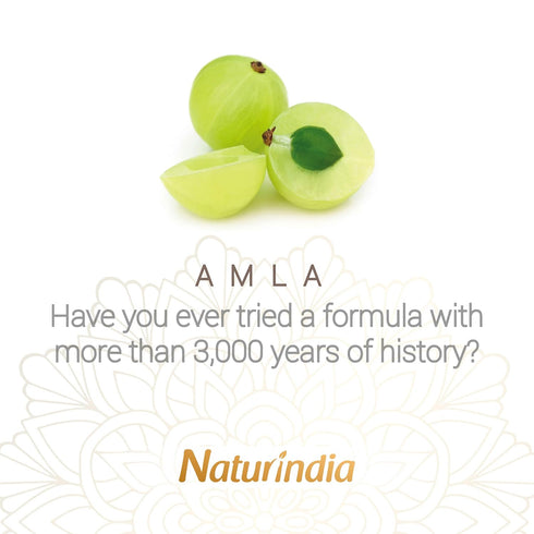 Ayurvedic Organic Shampoo for Hair Growth - Amla Indian Vitalize Formula with Vitamin C & B-Complex for Women