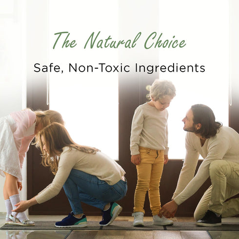 Moso Natural Shoe Deodorizer Insert, 3 Pack, Charcoal Odor Absorber for Shoes, Unscented Shoe Odor Eliminator
