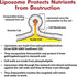 Liposomal Astaxanthin Supplement 24 MG, Maximum Absorption, Antioxidant Stronger Than VIT C, Non-GMO & Gluten Free - 60