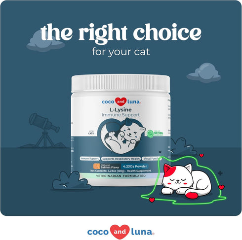 L-Lysine Powder for Cats 900mg – Immune & Respiratory Support