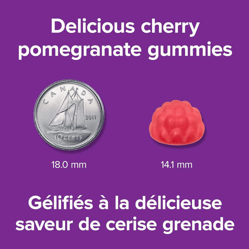 Webber Naturals Biotin Gummies, 2500 mcg, Cherry Pomegranate, 60 Gummies
