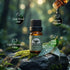 Set Making(40 10 ML) SACATR Essential Oils - Natural Essential Oils - Perfect for Diffuser, Humidifier,Aromatherapy
