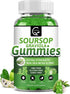 Organic Soursop Graviola Gummies, 2200mg Extra Strength, Zinc & Vitamin C, 60 Gummies, Vegan