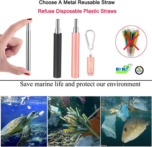 2 Pack Reusable Metal Straws, Collapsible Stainless Steel Drinking Straw, Travel Portable Telescopic Straw with Case,