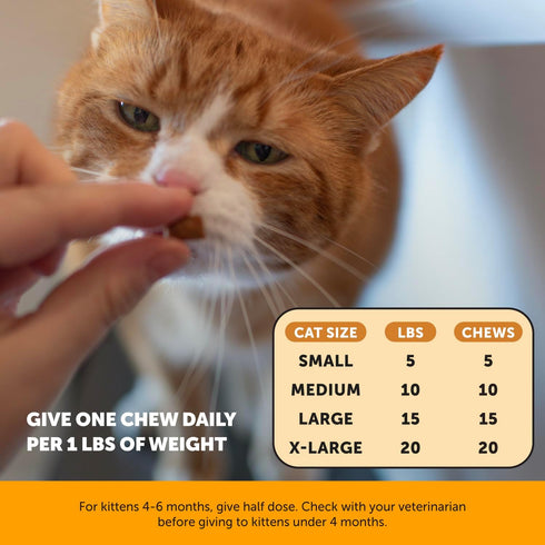 Pet Honesty Cat Immune Support Lysine - 30 Day Supply for Cat Allergy Relief with Omega 3s & Antioxidants