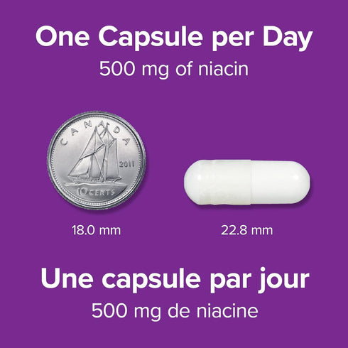 Webber Naturals No Flush Niacin Vitamin B3 Capsule, 500mg, 90 Count
