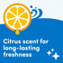 Oh Yuk Washing Machine Cleaner for All Washers - Natural Citrus Fragrance, 16 Fl Oz, Septic Safe
