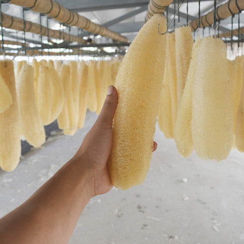 Natural Organic Large Loofah Sponges, Exfoliating Shower Bath Scrubbers for SPA Beauty, Pack of 4