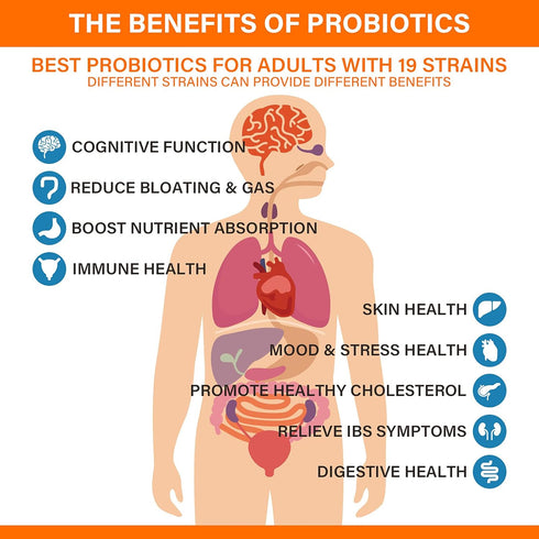 60 Billion Probiotics for Women and Men, 19 Strains, 5 Organic Prebiotics for Gut Digestive & Immune Health, Vegan