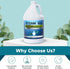 Steam and Go Demineralized Water, Multi-Surface Cleaning Solution for Steam Mop, Eucalyptus Mint, 128oz