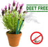 Mosquito Repellent Sticks, EXTRA-THICK, Outdoor Use, Each Stick Burns for Hours, Three Pack Contains 15