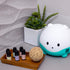 LittleHippo Set of 6 Premium 100% Pure Essential Oils, 10ml, Formulated for Kids/Children for WISPI.