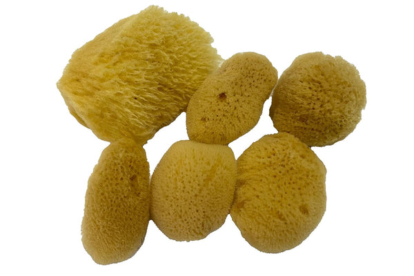 Soft Natural 6 Silk Sponges, Cosmetic Makeup Application Removal for Face, Eye, Nail Cleaning