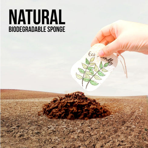 10PACK Biodegradable Natural Plant Based Cellulose Dish Sponges: Non Scratch, Multi-Purpose for Kitchen, Household,