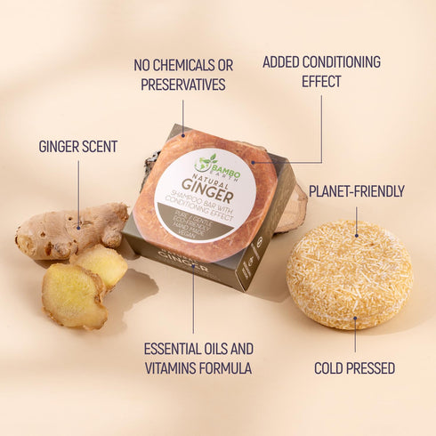 Solid Shampoo Bar and Conditioner Effect Hair Soap, 100% Organic with Plant-Based Essential Oils, Ginger