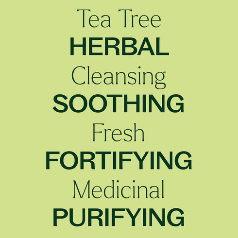 Plant Therapy Organic Tea Tree Oil (Melaleuca) 100% Pure, 10 mL, USDA Certified Organic