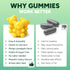 Purify Life GLP-1 Gummies Support Sugar-Free Appetite & Craving Control Supplement with Berberine, Cinnamon, Turmeric