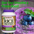 NutriBiotic Mixed Berry Rice Protein, 1 Lb 5 Oz (600g) | Vegan, Low Carb, Keto-Friendly, Raw Protein Powder