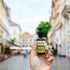 Immune 1 oz. Banyan Botanicals I Travel Well Liquid Extract Organic Fast-Acting Support for Travel with Ashwagandha