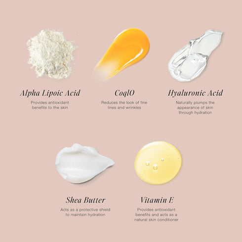 Jouer Skin Barrier Cream, Hydrating Hyaluronic Acid DD Cream, Anti-Aging Night Face Cream with Alpha Lipoic Acid, 2 oz