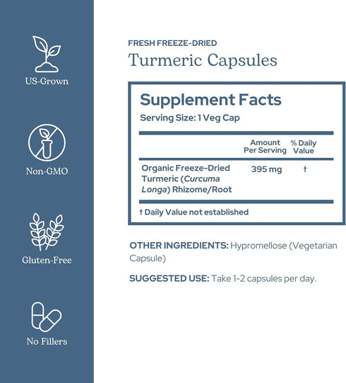 ECLECTIC INSTITUTE Raw Freeze-Dried Turmeric, 90 CT (395 mg), US Grown, Vegetarian, Non-GMO