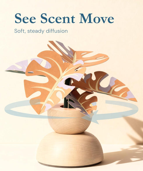 Set Spin Paper Diffuser Gift with Room Spray Kinetic Desk Decor with Gentle Scent Flow, Essential Oil Diffuser